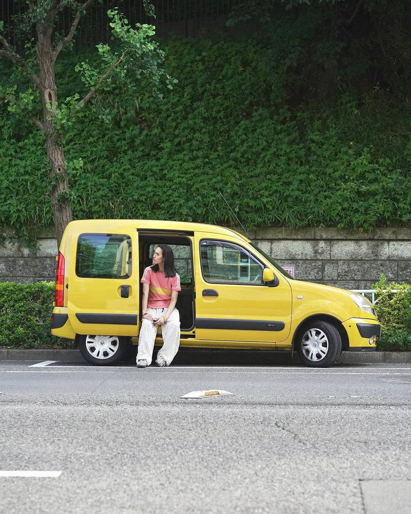 The indispensable partner, the Kangoo, was a "common sight on the streets of Paris."